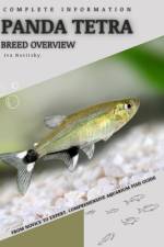 Panda Tetra af Iva Novitsky