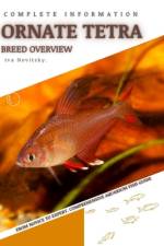 Ornate Tetra af Iva Novitsky
