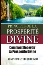principes de la PROSPERITE DIVINE af Augustine Ayodeji Origbo