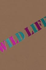 Wild Life: Elizabeth Murray & Jessi Reaves af Karen Kelly
