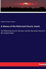 A History of the Reformed Church, Dutch af Edward Tanjore Corwin
