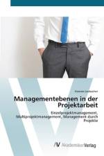 Managementebenen in der Projektarbeit af Hannes Leobacher
