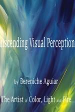 Transcending Visual Perception af Darcy Edgell