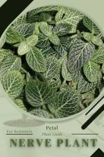 Nerve Plant af Petal Prodigy