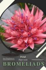 Bromeliads af Petal Prodigy