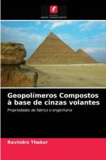 Geopolímeros Compostos à base de cinzas volantes af Ravindra Thakur