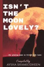 Isn't the moon lovely?