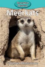 Meerkats af Victoria Blakemore