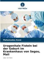 Urogenitale Fisteln bei der Geburt im Krankenhaus von Segou, Mali af Mahamadou Koné