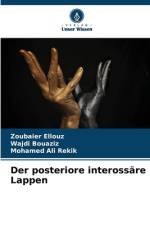 Der posteriore interossäre Lappen af Zoubaier Ellouz