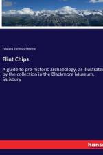 Flint Chips af Edward Thomas Stevens
