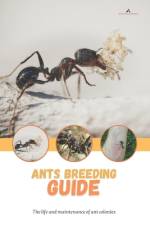 Ants breeding guide af Tony D Jackson