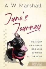 Juno's Journey af Alexander William Marshall