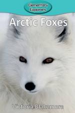 Arctic Foxes af Victoria Blakemore