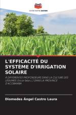 L'EFFICACITÉ DU SYSTÈME D'IRRIGATION SOLAIRE af Diomedes Ángel Castro Laura