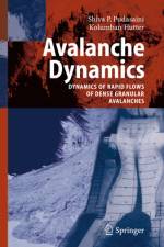 Avalanche Dynamics af Kolumban Hutter
