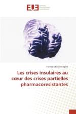 Les crises insulaires au c¿ur des crises partielles pharmacoresistantes af Fatimata Hassane Djibo