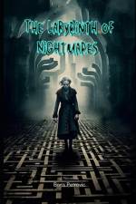 The Labyrinth of Nightmares af Boris Petrovic