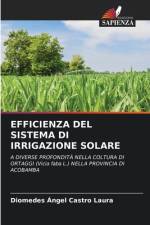 EFFICIENZA DEL SISTEMA DI IRRIGAZIONE SOLARE af Diomedes Ángel Castro Laura