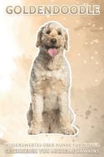Goldendoodle af Michelle Hawkins