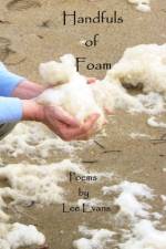 Handfuls of Foam af Lee Evans