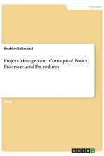 Project Management. Conceptual Basics, Processes, and Procedures