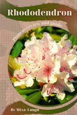 Rhododendron af Mixa Lungu