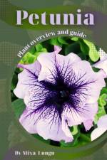 Petunia af Mixa Lungu