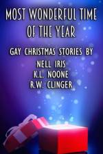 Most Wonderful Time of the Year af K L Noone