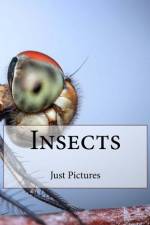 Insects af Just Pictures