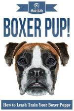 Boxer Pup!