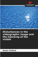 Disturbances in the videographic image and the hijacking of the visible af Narjes Challouf