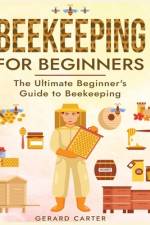 Beekeeping for Beginners