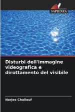 Disturbi dell'immagine videografica e dirottamento del visibile af Narjes Challouf