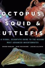 Octopus, Squid, and Cuttlefish af Roger Hanlon