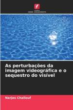 As perturbações da imagem videográfica e o sequestro do visível af Narjes Challouf