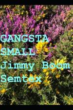 Gangsta Small af Jimmy Boom Semtex