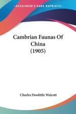Cambrian Faunas Of China (1905) af Charles Doolittle Walcott
