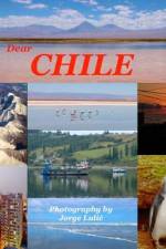 Dear Chile af Jorge Lulic