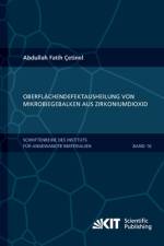 Oberflächendefektausheilung und Festigkeitssteigerung von niederdruckspritzgegossenen Mikrobiegebalken aus Zirkoniumdioxid af Abdullah Fatih Çetinel