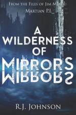 A Wilderness of Mirrors af R J Johnson