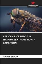 AFRICAN RICE MIDGE IN MAROUA (EXTREME NORTH CAMEROON) af Ismael Sadou