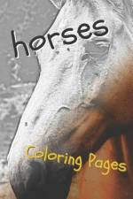 Horses Coloring Sheets: Beautiful Drawings for Adults Relaxation and for Kids af Coloring Sheets