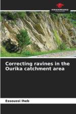 Correcting ravines in the Ourika catchment area af Essoussi Iheb