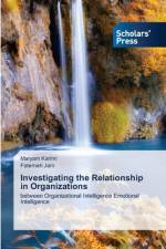 Investigating the Relationship in Organizations af Maryam Karimi