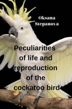 Peculiarities of life and reproduction of the cockatoo bird af Oksana Stepanova