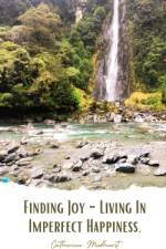 Finding Joy - Imperfect Happiness af Catherine Medhurst
