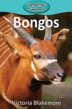 Bongos af Victoria Blakemore