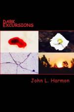 Dark Excursions af John L Harmon