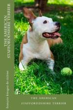 The american stafforddshire terrier